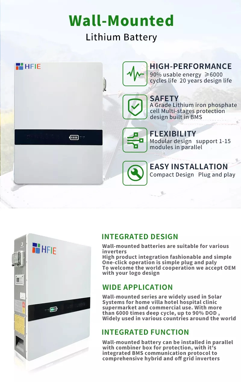 10kwh 204ah 51.2V Long Life Cycles Wall-Mounted Lithium-Ion Batteries Residential Energy Storage Battery for Solar Power